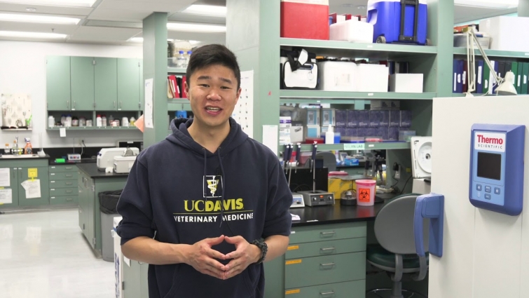 UC Davis School of Veterinary Medicine Virtual Tour