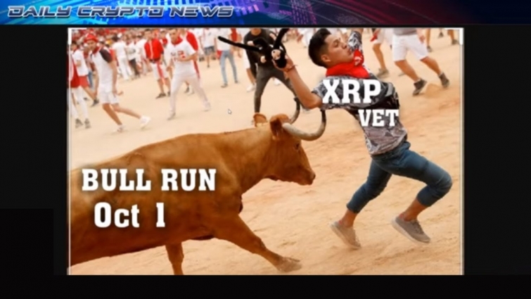 #XRP #VET BULL RUN OCT 1 2019… PWC Elwood. ( Crypto Millionaires Club ) Members Only