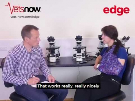 Cutting Edge Interview | Vets Now
