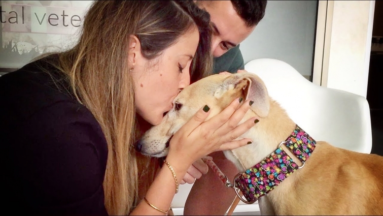 THIS DOG WAS NEVER KISSED IN HER ENTIRE LIFE… UNTIL TODAY