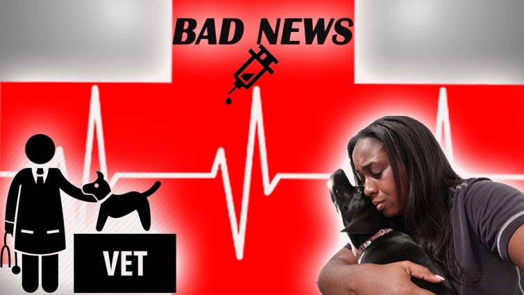 OUR DOG LONDON HATES GOING TO THE VET| WHATS WRONG WITH HER?!?