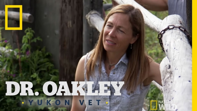 Wild Horse Corral | Dr. Oakley, Yukon Vet
