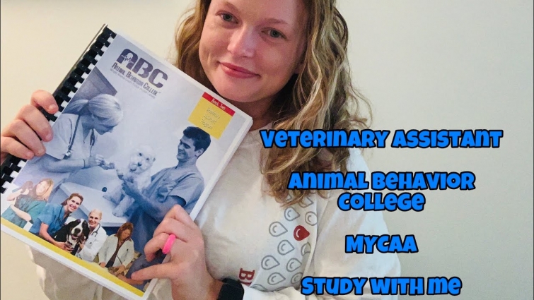 VETERINARY ASSISTANT | ANIMAL BEHAVIOR COLLEGE | MYCAA | STUDY W ME | Military spouse benefits