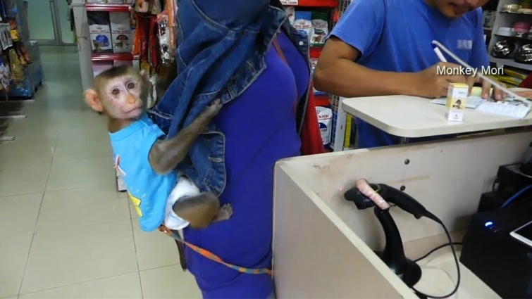 Mom Take Princess Mori To Vet & Get Vaccination