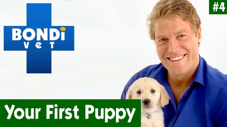 🐶 Your First Puppy With Dr Chris Brown | EP04