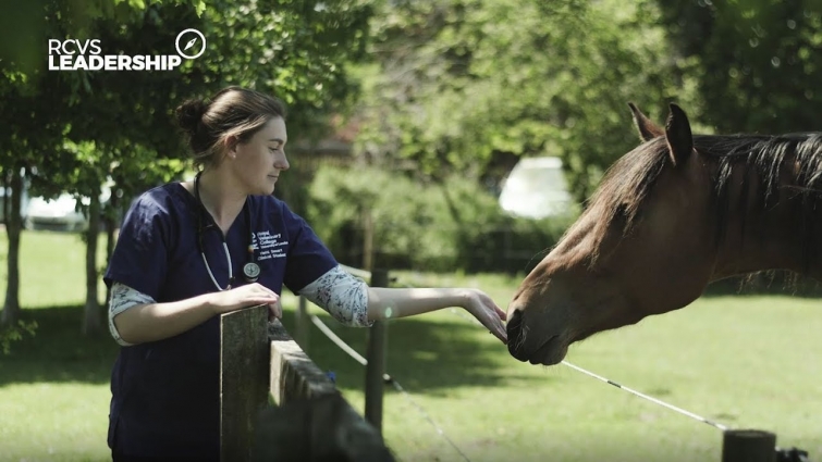 Inspiring Veterinary Leaders