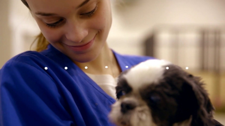 Veterinary Science Program Video