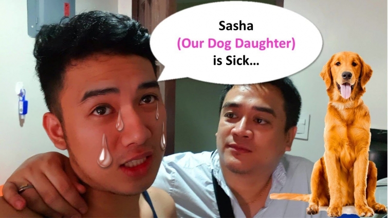 Our Dog Daughter is Sick | Vet Visit