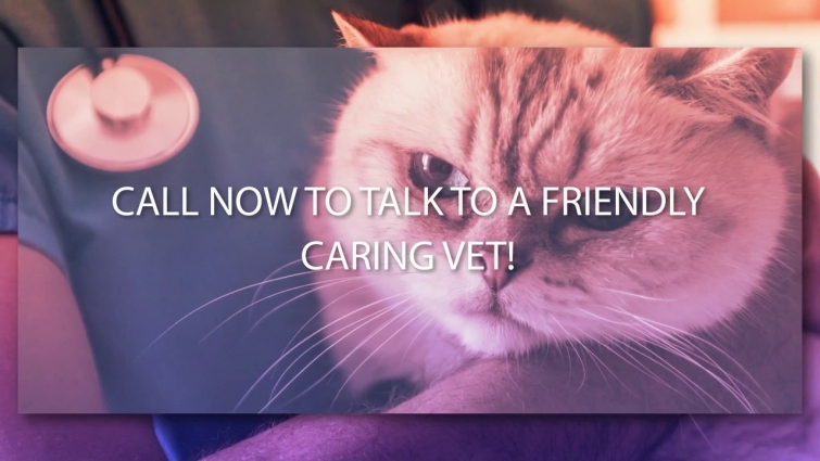 Veterinary Showcase
