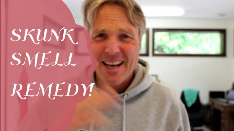 Skunk Smell Removal That Works Fast!