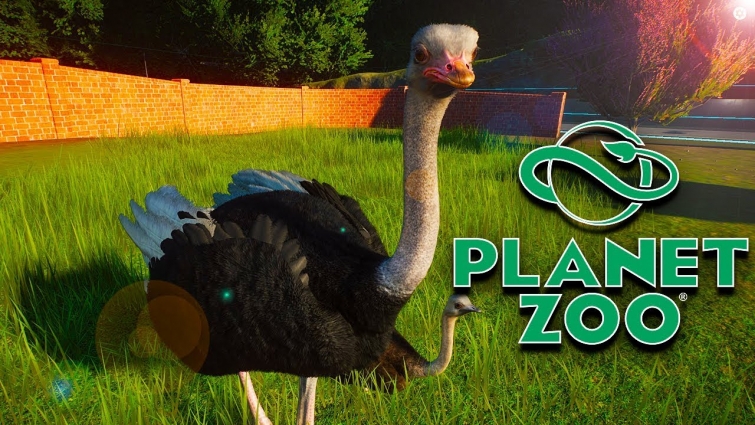 Whoa! That is one Big Bird…🦚//Planet Zoo Beta Access//Episode 1