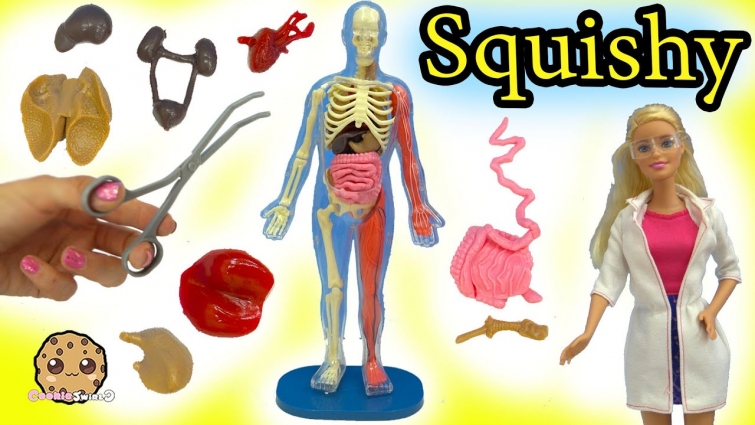 Squishy Human with Scientist Barbie Teacher & Student Monster High Dolls Video