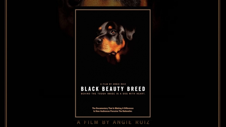 Black Beauty Breed