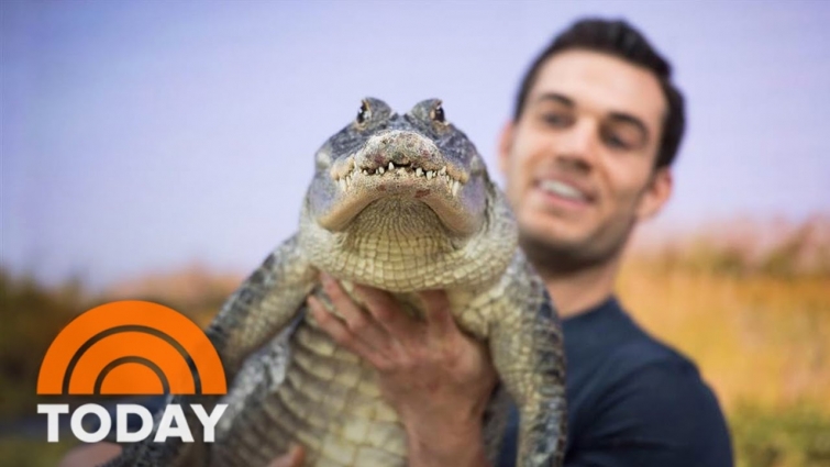 ‘Sexiest Veterinarian’ Evan Antin Brings Exotic Wildlife To Studio 1A | TODAY