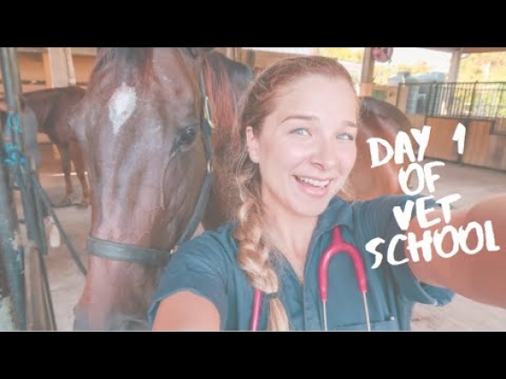 FIRST DAY OF VET SCHOOL