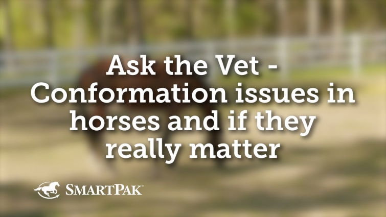 Ask the Vet – Conformation issues in horses and if they really matter