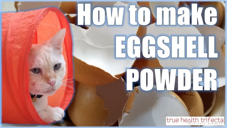 How to make Raw Cat Food WITHOUT Chicken Bone! – Eggshell Powder Recipe / Cat Lady Fitness