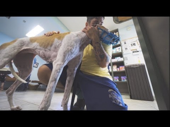 two vet appointments in one day