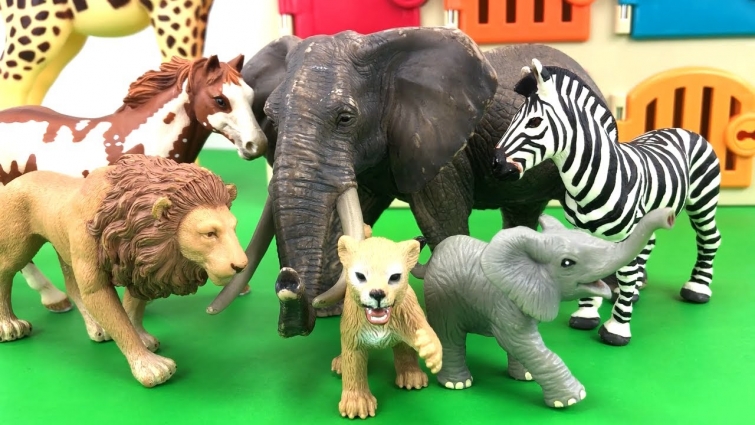 Critter Clinic Vet Animal Hospital Cage Keys/Learn Colors/injured Wild Zoo Animals/Animal Planet