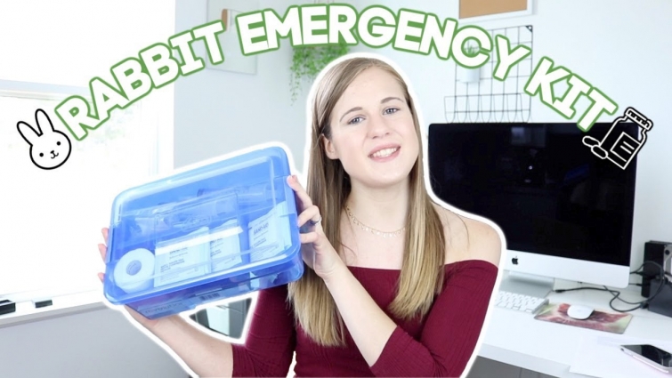 My Rabbits Emergency Kit!