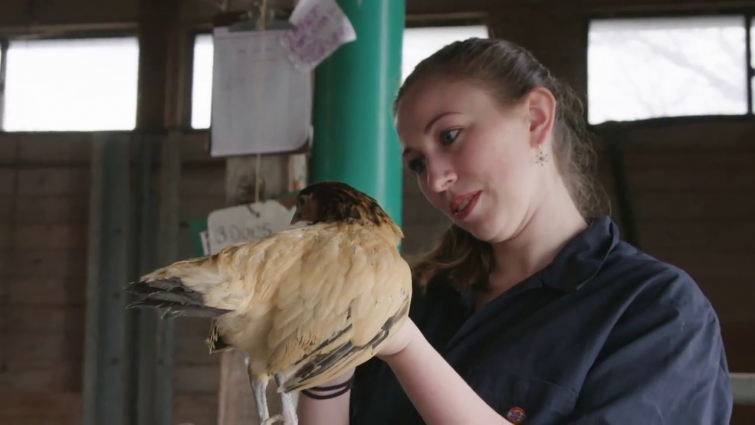 Department of Veterinary and Animal Sciences at University of Massachusetts Amherst