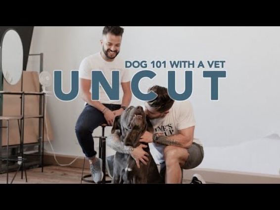 UNCUT: VETERINARIAN GIVES US BEST SECRETS FOR RAISING A DOG