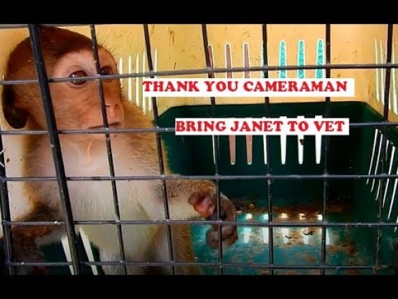10 Min After Baby Janet Meeting with vet
