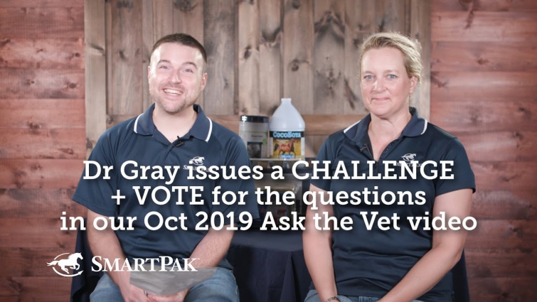 Dr Gray issues a challenge + VOTE for the questions in our Oct 2019 Ask the Vet video!
