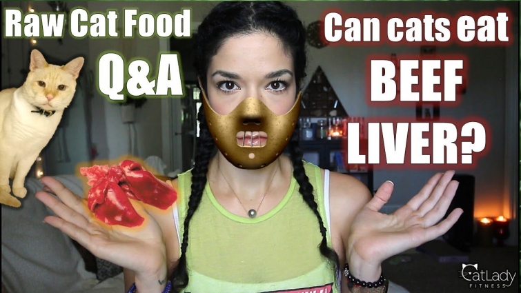 Raw Cat Food Q&A: Can you use BEEF (or lamb, veal, duck) liver instead of Chicken Liver? 🤔
