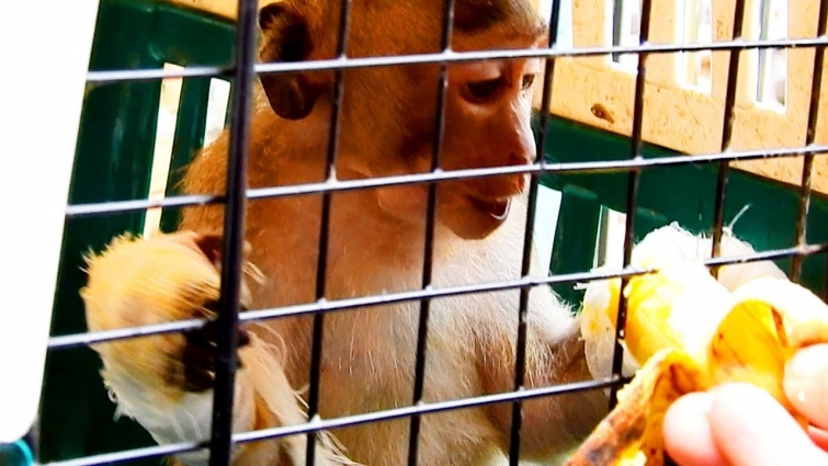 Our team sent baby Janet to Vet|Hope Janet hands will be better soon|M&B