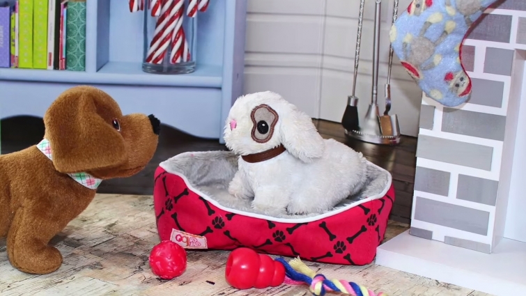 American Girl Doll Pet Care Playset Review