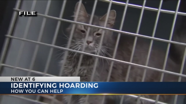 Local veterinarian says animal hoarding is a mental illness