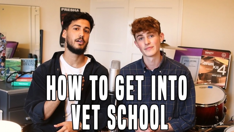 How To Get Into Vet School | Channel Introduction