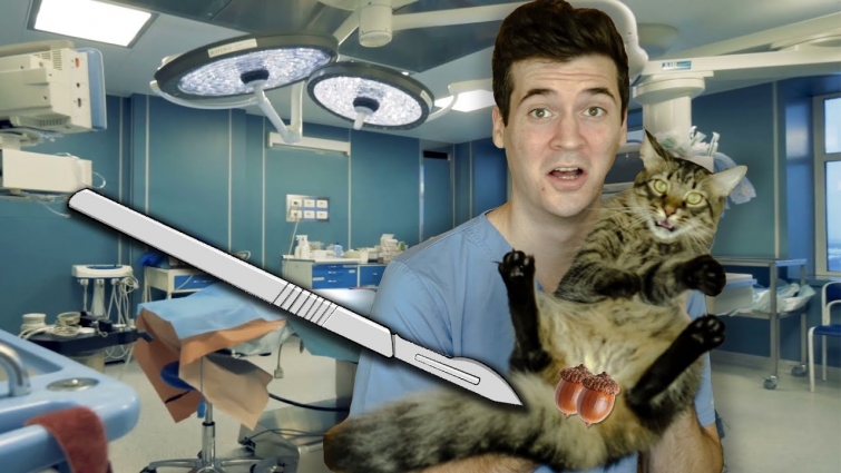 Neutering My Cat! **SURGICAL**