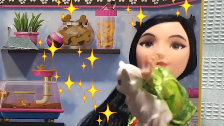 English Toy Video: Disney Princess Mulan + Sick cat + Barbie Vet Set