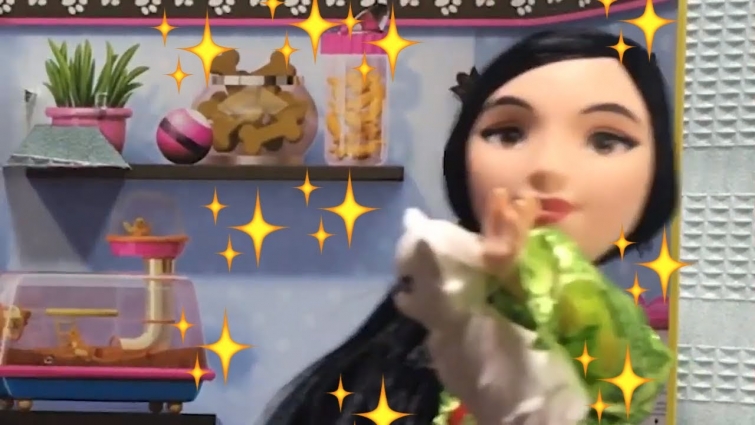 Imagine Toy Video: Disney Princess Mulan + Sick cat + Barbie Vet Set