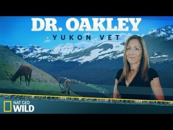 Dr. Oakley, Yukon Vet; Season 7 Episode 2
