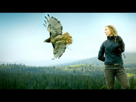 Dr. Oakley, Yukon Vet Season 7 Episode 2 Foal's Gold