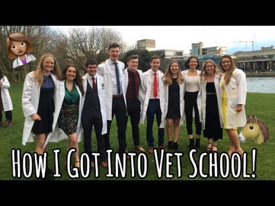 HOW I GOT INTO VET SCHOOL