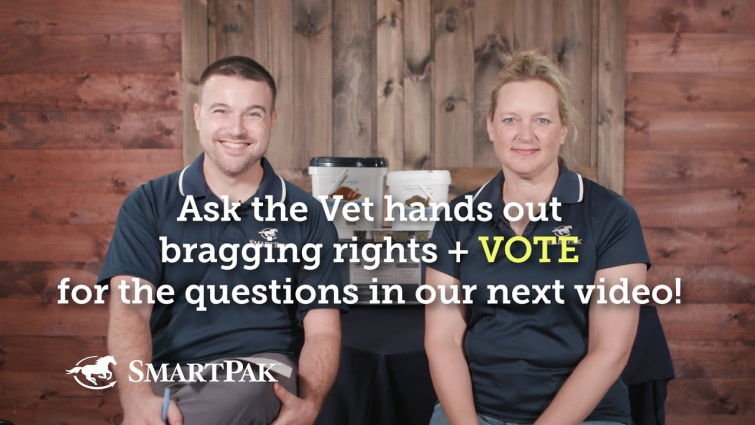 Ask the Vet hands out bragging rights + VOTE for the questions in our next video!