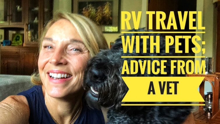 RV travel with pets; Advice from a Vet