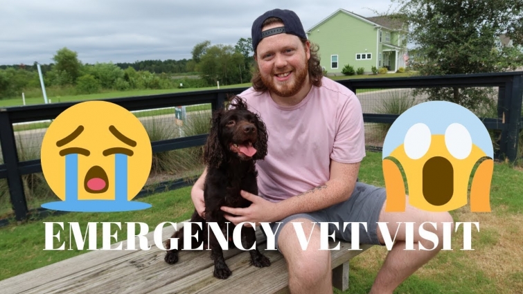 DOGGIE VLOGGIE | WE HAD TO TAKE OUR DOG TO THE EMERGENCY VET
