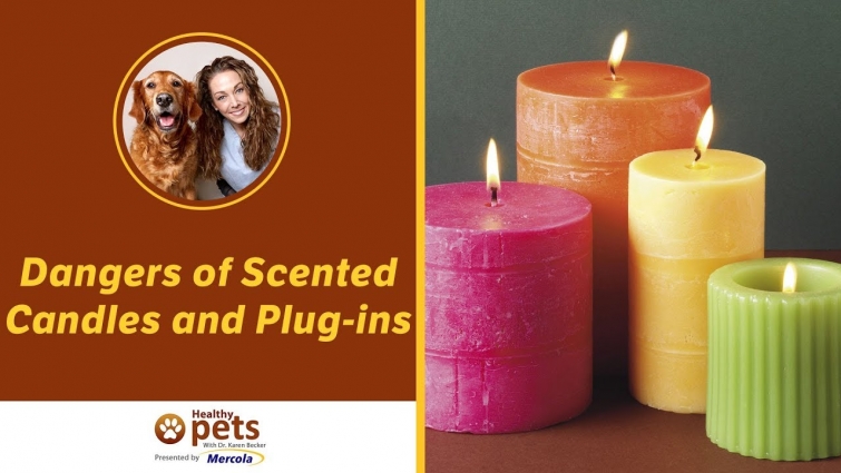 Dr. Becker Discusses the Dangers of Scented Candles and Plug-ins