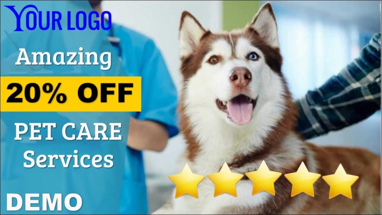 VET Clinic DEMO – Veterinarian videos