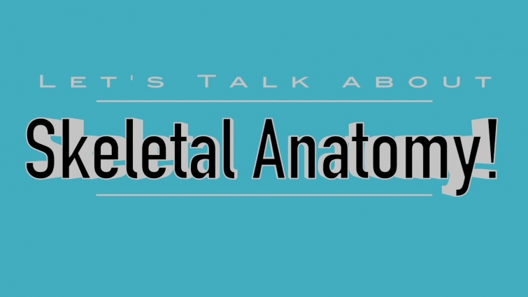 Skeletal Anatomy Dogs, Cats, Horses, Cows (VETERINARY TECHNICIAN EDUCATION)