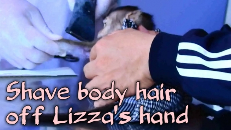 Before giving IVP vet visited and shaved body hair off Lizza's hand