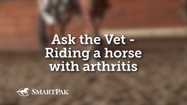 Ask the Vet – Riding a horse with arthritis