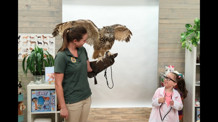 'She’s Brielle-iant': Veterinary Edition with Sloths, Owls, and More