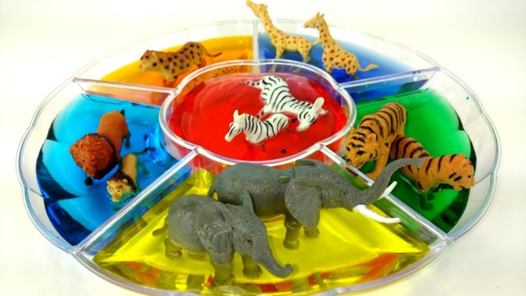 Learn COLORS With Candy And ZOO Wild Animals/DIY Color Water /Veterinary And Lot More Fun for Kids