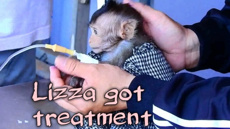Poor Lizza was treated by vet giving IVP, injection some medicine and cleaning wound for Lizza